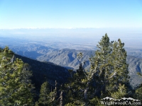 Looking down toward Antelope Valley from Mt Baden Powell Trail - Wrightwood CA Hiking