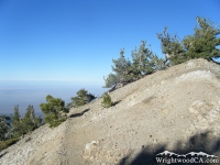 Mt Baden Powell Trail - Wrightwood CA Hiking