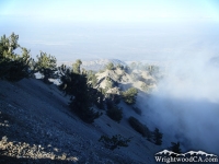 Mt Baden Powell Trail - Wrightwood CA Hiking