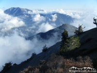 Mt Baldy (left) and Iron Mountain (right) from top of Mt Baden Powell - Wrightwood CA Hiking