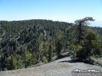 Looking back at Wright Mountain on North Backbone Trail - Wrightwood CA Hiking