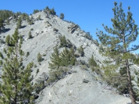North Backbone Trail - Wrightwood CA Hiking