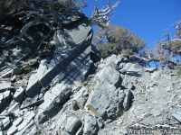 North Backbone Trail - Wrightwood CA Hiking