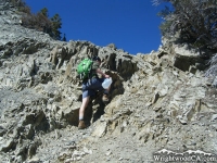 North Backbone Trail - Wrightwood CA Hiking