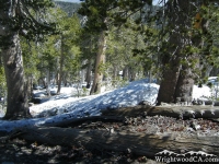 Snow on Pine Mountain off North Backbone Trail - Wrightwood CA Hiking