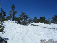 Snow on North Backbone Trail on Pine Mountain - Wrightwood CA Hiking