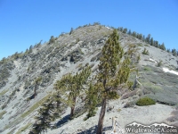 Pine Mountain from North Backbone Trail - Wrightwood CA Hiking