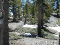 North Backbone Trail - Wrightwood CA Hiking