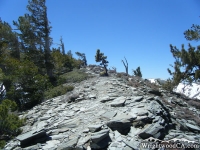 North Backbone Trail climbing Dawson Peak - Wrightwood CA Hiking