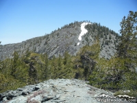 Looking back at Pine Mountain from Dawson Peak on North Backbone Trail - Wrightwood CA Hiking