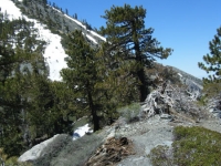 North Backbone Trail - Wrightwood CA Hiking