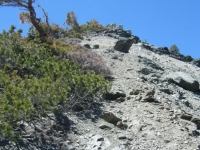 North Backbone Trail - Wrightwood CA Hiking