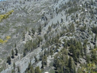 Looking back at Dawson Peak on North Backbone Trail - Wrightwood CA Hiking