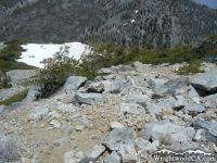 North Backbone Trail - Wrightwood CA Hiking