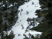 Snow on North Backbone Trail of Mt Baldy - Wrightwood CA Hiking