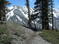 Dawson Peak Trail and Mt Baldy - Wrightwood CA Hiking