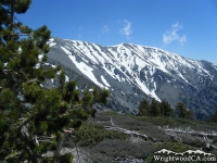 Mt Baldy on the Dawson Peak Trail - Wrightwood CA Hiking