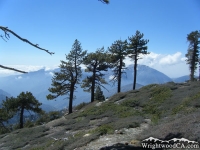 Dawson Peak Trail - Wrightwood CA Hiking