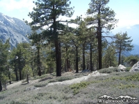 Dawson Peak Trail - Wrightwood CA Hiking