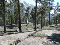 Dawson Peak Trail - Wrightwood CA Hiking