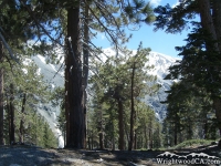 Dawson Peak Trail - Wrightwood CA Hiking