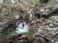 Creek on Dawson Peak Trail - Wrightwood CA Hiking