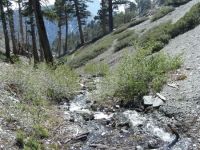 Creek crossing on Dawson Peak Trail - Wrightwood CA Hiking