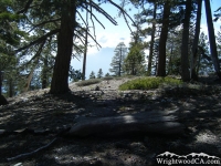 Dawson Peak Trail - Wrightwood CA Hiking