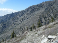 Pine Mountain Ridge viewed from Dawson Peak Trail - Wrightwood CA Hiking