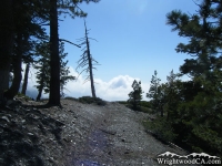 Dawson Peak Trail - Wrightwood CA Hiking