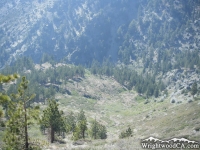 Looking down a canyon on Dawson Peak Trail - Wrightwood CA Hiking