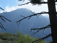 Dawson Peak Trail - Wrightwood CA Hiking