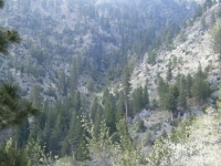 Dawson Peak Trail - Wrightwood CA Hiking