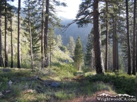 Pine Mountain Ridge Trail in Prairie Fork - Wrightwood CA Hiking