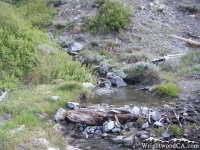 Creek crossing on Pine Mountain Ridge Trail - Wrightwood CA Hiking