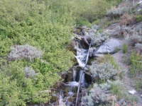 Creek crossing on Pine Mountain Ridge Trail - Wrightwood CA Hiking