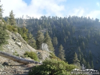 Pine Mountain Ridge Trail - Wrightwood CA Hiking