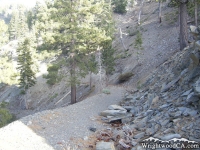 Climbing Pine Mountain Ridge Trail - Wrightwood CA Hiking