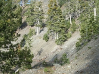 Climbing Pine Mountain Ridge Trail - Wrightwood CA Hiking