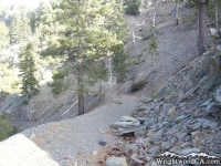 Climbing Pine Mountain Ridge on the Fish Fork Trail - Wrightwood CA Hiking