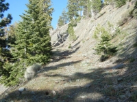 Climbing Pine Mountain Ridge on the Fish Fork Trail - Wrightwood CA Hiking