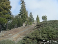 Top of Pine Mountain Ridge on Fish Fork Trail - Wrightwood CA Hiking