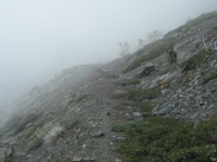 Fish Fork Trail disappearing in the fog - Wrightwood CA Hiking