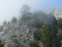 Fish Fork Trail - Wrightwood CA Hiking