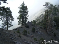 Fish Fork Trail - Wrightwood CA Hiking