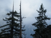 Looking down toward Fish Fork from the Fish Fork Trail - Wrightwood CA Hiking