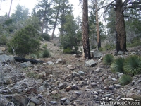 Fish Fork Trail - Wrightwood CA Hiking