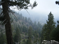 Looking down toward Fish Fork from the Fish Fork Trail - Wrightwood CA Hiking