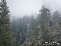 Fish Fork Trail - Wrightwood CA Hiking