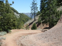 Bighorn Mine Trail - Wrightwood CA Hiking